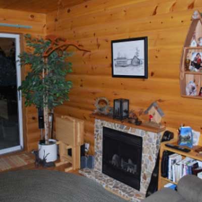 Spring north ontario cottage opening and care